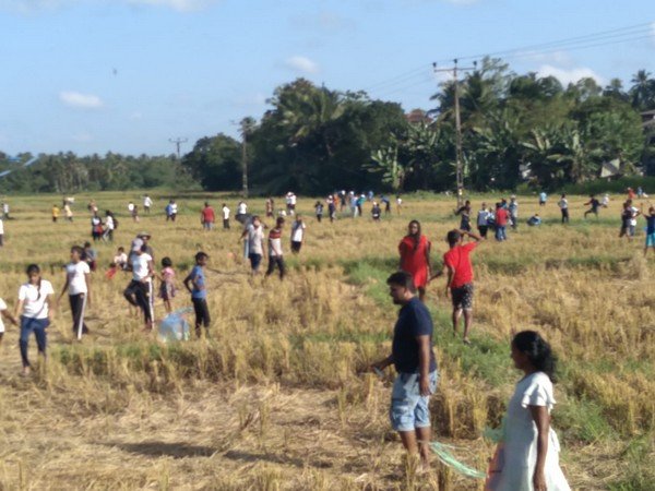 "Freedom's Sky" Kite Festival at Homagama (2023-08-20)